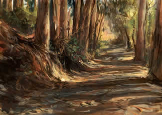 'Woodland Path' by Erik Tiemens